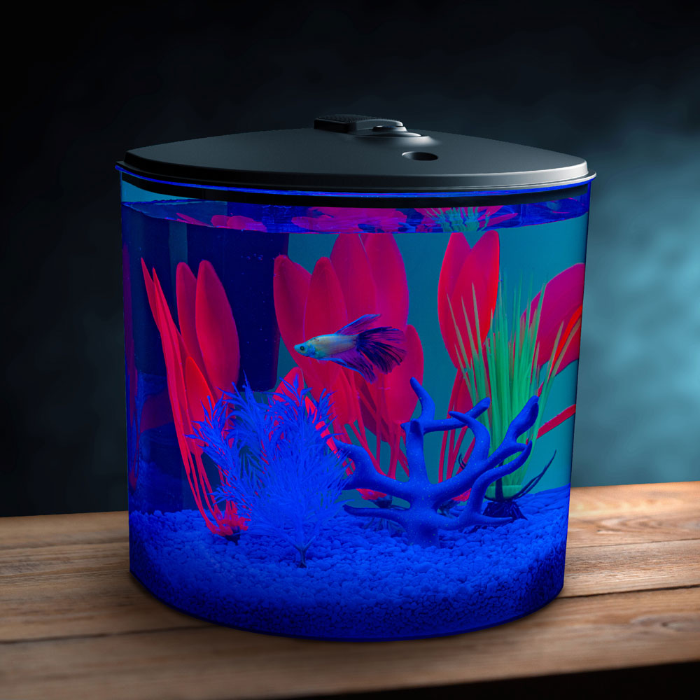 3.5 Gallon Aquarium Kit GloFish